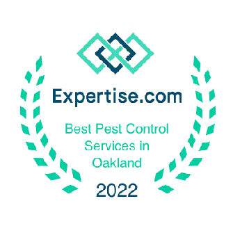 Certified technician executing precision Garage Door Panel Replacement & Section Tuning